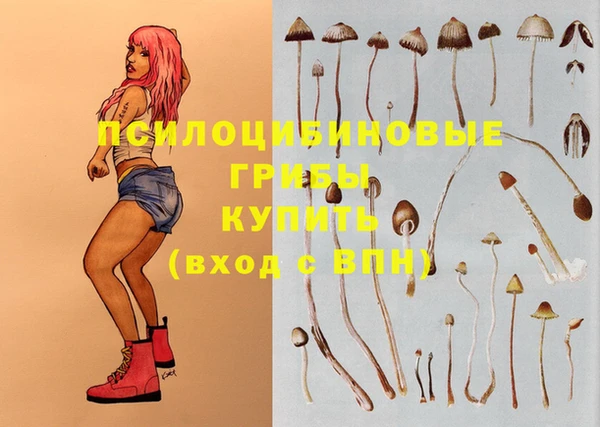 эйфоретик Болхов
